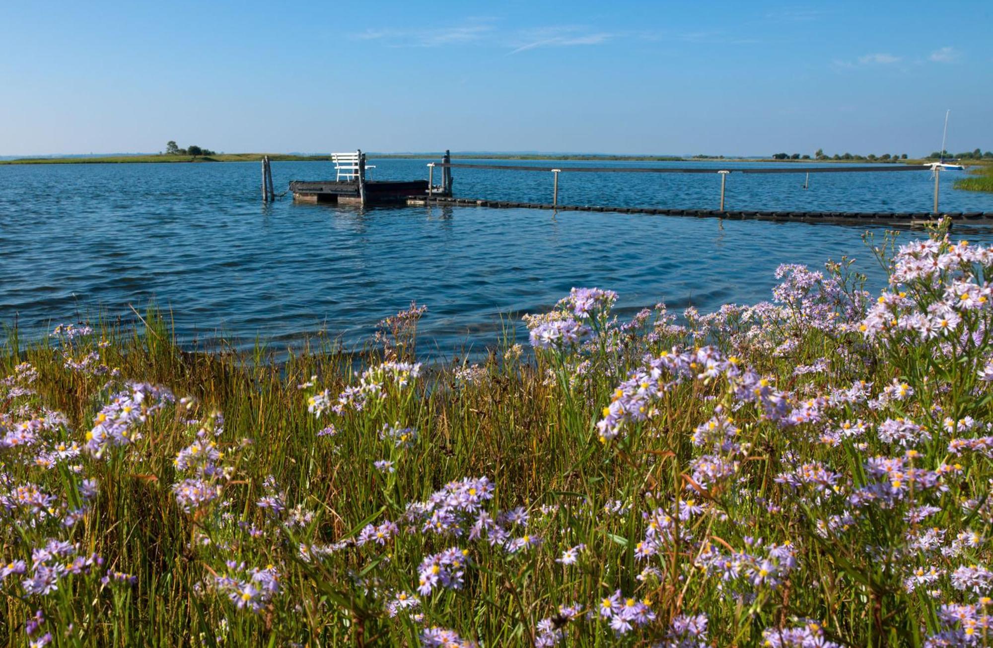 Seerose Poel Eksteriør billede